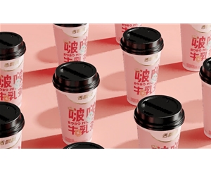 產(chǎn)品包裝設(shè)計
